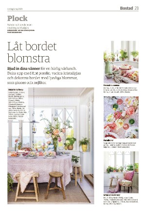 smalandsdagblad_b-20230506_000_00_00_023.pdf