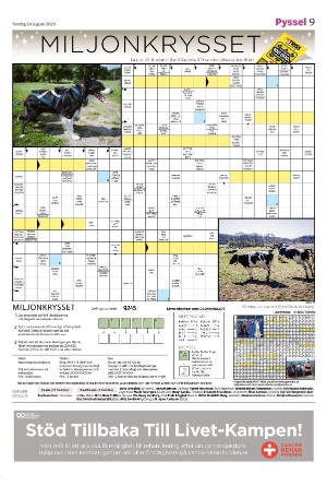 smalandsdagblad_b-20250814_000_00_00_009.pdf