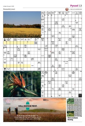 smalandsdagblad_b-20250816_000_00_00_013.pdf