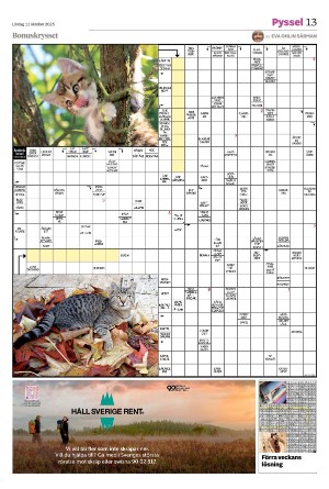 smalandsdagblad_b-20251011_000_00_00_013.pdf