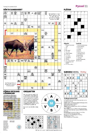 smalandsdagblad_b-20251120_000_00_00_011.pdf