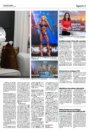 smalandsdagblad_b-20251129_000_00_00_003.pdf