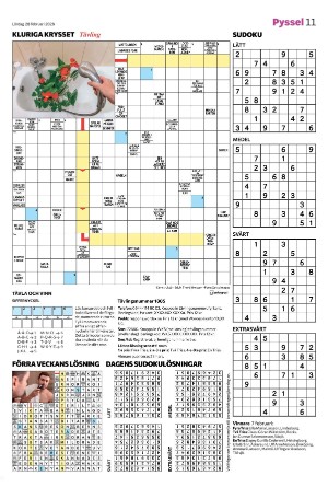 smalandsdagblad_b-20260228_000_00_00_011.pdf