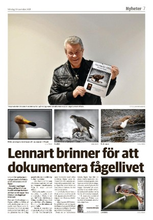 smalandstidningen-20211129_000_00_00_007.pdf