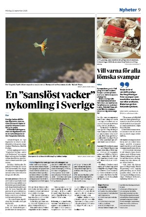 smalandstidningen-20250922_000_00_00_009.pdf
