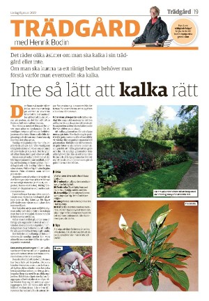 smalandstidningen_b-20220115_000_00_00_019.pdf