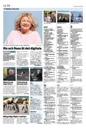 smalandstidningen_b-20250521_000_00_00_012.pdf