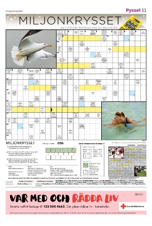 smalandstidningen_b-20250528_000_00_00_011.pdf
