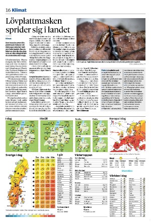smalandstidningen_b-20250618_000_00_00_016.pdf