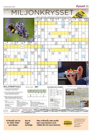smalandstidningen_b-20250806_000_00_00_011.pdf
