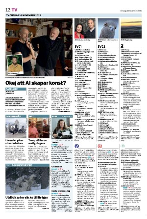 smalandstidningen_b-20251126_000_00_00_012.pdf