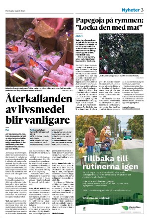 smalanningen-20240812_000_00_00_003.pdf