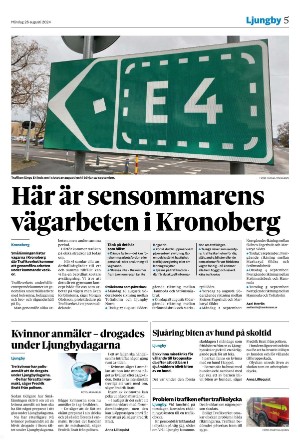 smalanningen-20240826_000_00_00_005.pdf