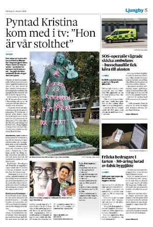 smalanningen-20241021_000_00_00_005.pdf