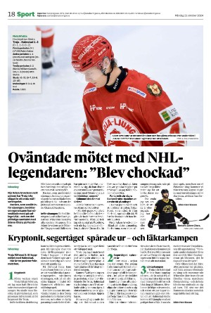 smalanningen-20241021_000_00_00_018.pdf