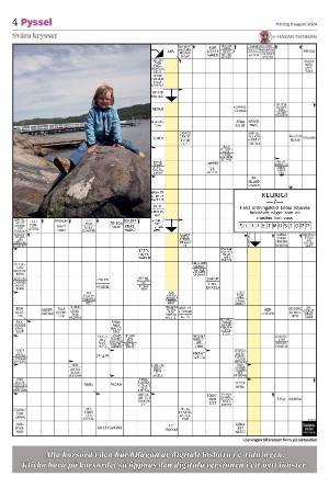 smalanningen_bilag-20240805_000_00_00_004.pdf