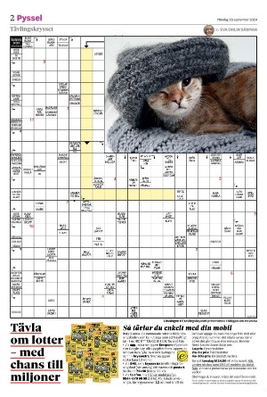 smalanningen_bilag-20240916_000_00_00_002.pdf