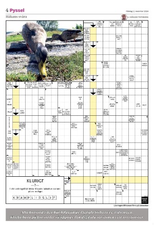 smalanningen_bilag-20241111_000_00_00_004.pdf
