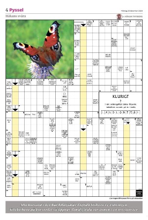 smalanningen_bilag-20241223_000_00_00_004.pdf
