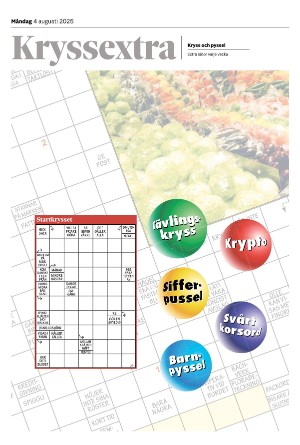 Smålänningen Bilaga 2025-08-04