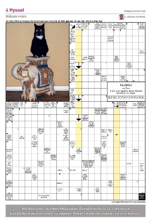 smalanningen_bilag-20250908_000_00_00_004.pdf