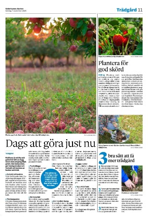 soderhamnskuriren-20250907_000_00_00_011.pdf
