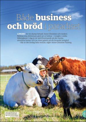 soderhamnskuriren_bilag1-20200527_000_00_00_009.pdf