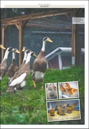 soderhamnskuriren_d-20120929_000_00_00_007.pdf