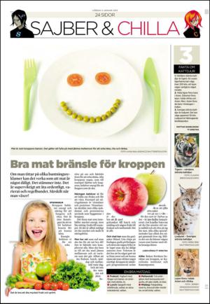 soderhamnskuriren_d-20130105_000_00_00_012.pdf