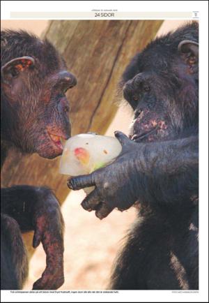 soderhamnskuriren_d-20130119_000_00_00_011.pdf