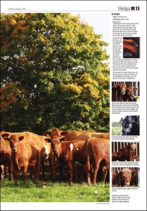 soderhamnskuriren_d-20131005_000_00_00_013.pdf