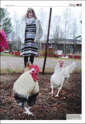 soderhamnskuriren_d-20140111_000_00_00_013.pdf