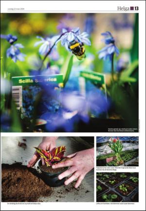 soderhamnskuriren_d-20140322_000_00_00_013.pdf