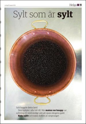 soderhamnskuriren_d-20140830_000_00_00_011.pdf