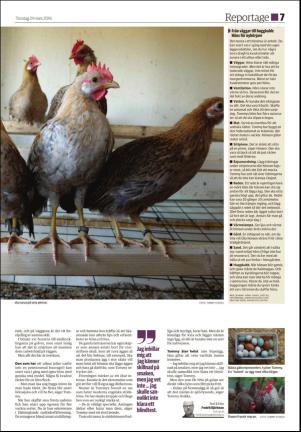 soderhamnskuriren_d-20160324_000_00_00_007.pdf