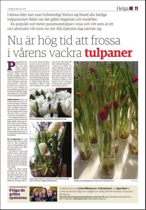 soderhamnskuriren_d-20170210_000_00_00_011.pdf