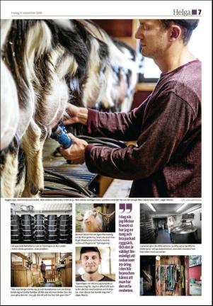 soderhamnskuriren_d-20180921_000_00_00_007.pdf