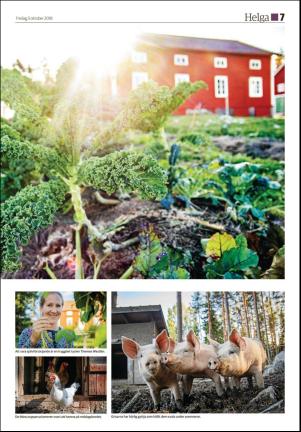 soderhamnskuriren_d-20181005_000_00_00_007.pdf