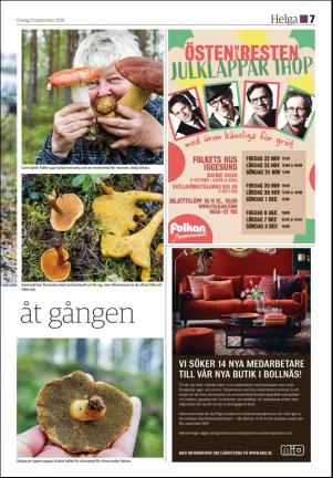 soderhamnskuriren_d-20190913_000_00_00_007.pdf