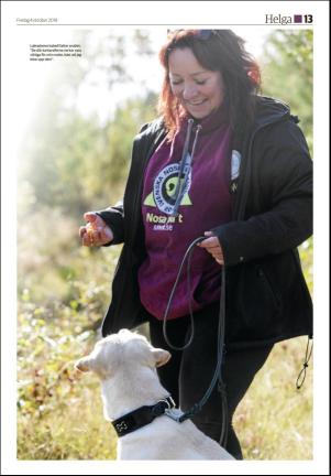 soderhamnskuriren_d-20191004_000_00_00_013.pdf