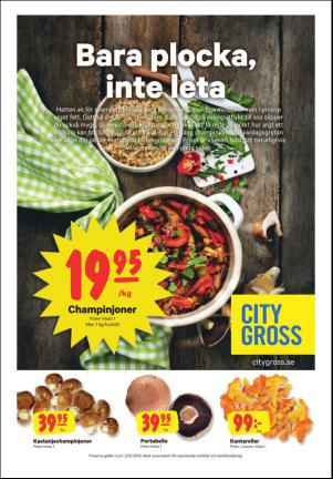 sodradalarnestidning-20161001_000_00_00_011.pdf