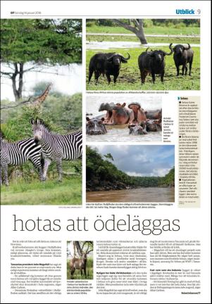 sodradalarnestidning-20180114_000_00_00_009.pdf