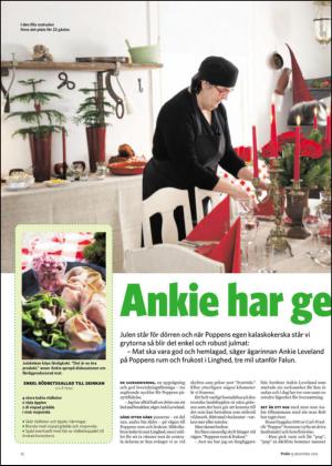 sodradalarnestidning_bilag-20121215_000_00_00_012.pdf