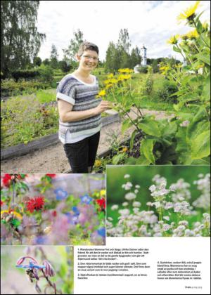 sodradalarnestidning_bilag-20130504_000_00_00_016.pdf