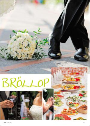 sodradalarnestidning_bilag-20130525_000_00_00_021.pdf