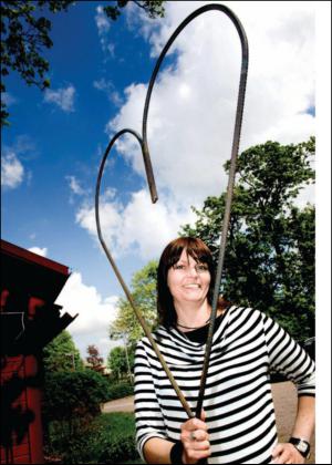 sodradalarnestidning_bilag-20130629_000_00_00_022.pdf