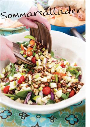 sodradalarnestidning_bilag-20130629_000_00_00_040.pdf