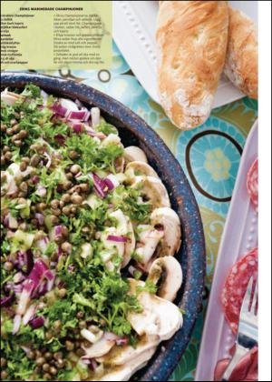 sodradalarnestidning_bilag-20130629_000_00_00_042.pdf