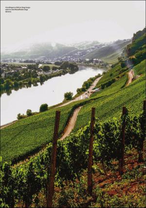 sodradalarnestidning_pralin-20160910_000_00_00_012.pdf