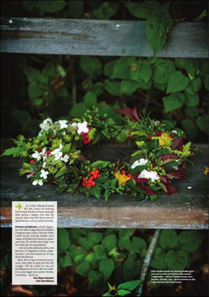 sodradalarnestidning_pralin-20161001_000_00_00_016.pdf